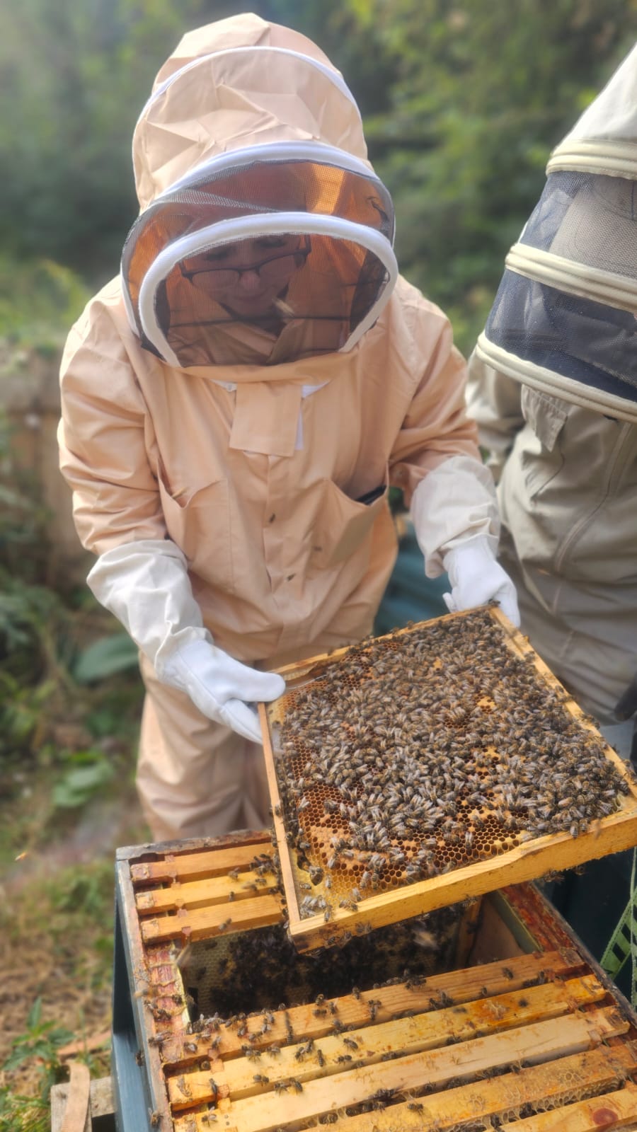 Beekeeping Group